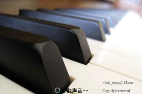 安卓完美钢琴下载|完美钢琴 安卓版v5.6.4 - PC