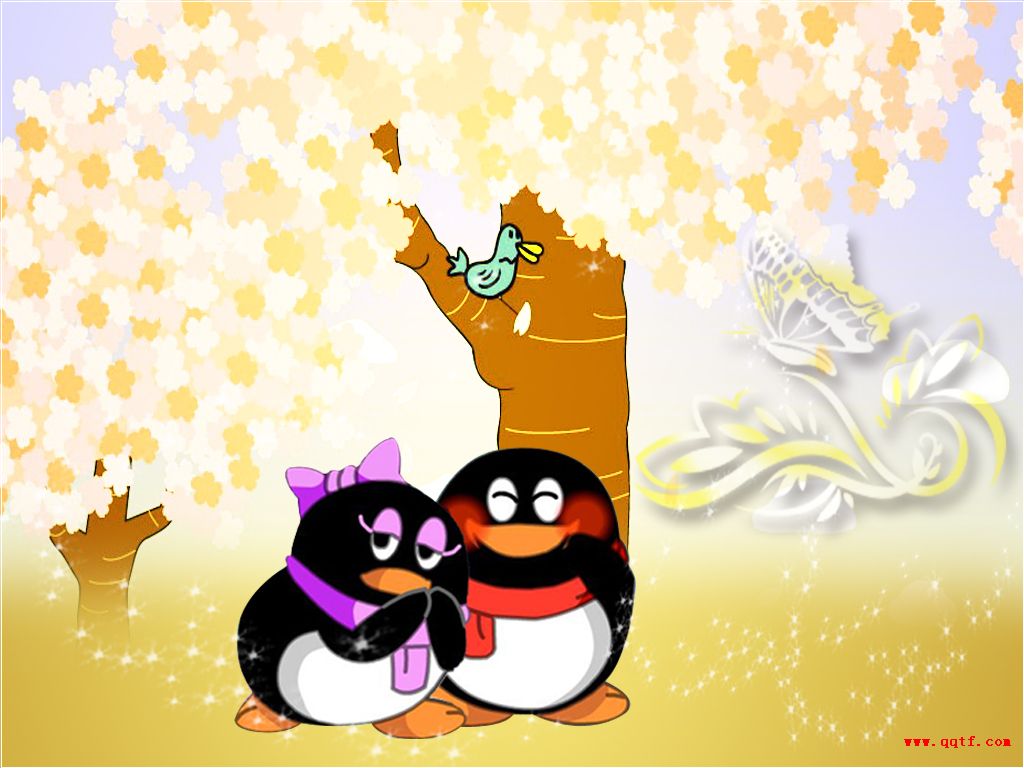 Q哥Q妹在许愿树下