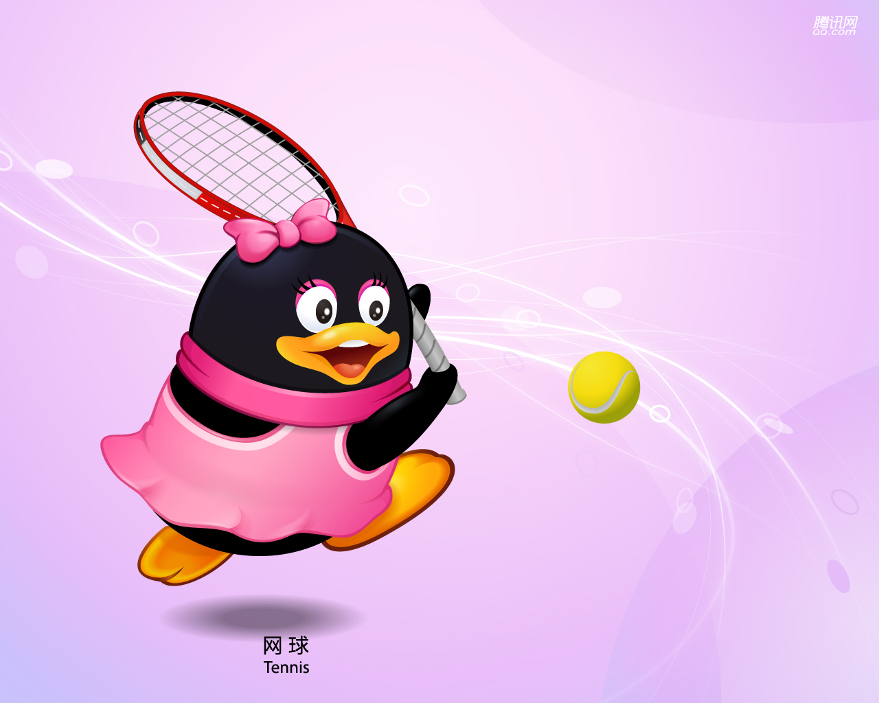 QQ体育壁纸-QQ网球_飓风资讯
