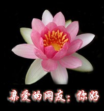 打招呼的qq表情_飓风资讯