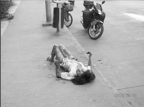 成都动物园附近一公交今晨自燃 _飓风资讯