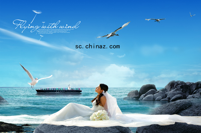 婚纱摄影海边_海边婚纱图片(3)