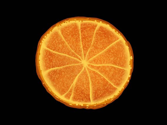 Photoshop制作三色的橙子海报